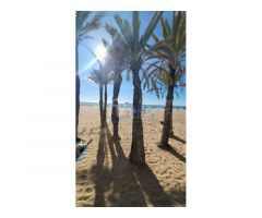 PRIMERA LÍNEA DE PLAYA DE LEVANTE