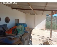 **Se Vende Finca de 19 Hectáreas de Olivos**
