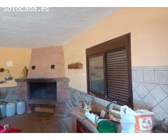 **Se Vende Finca de 19 Hectáreas de Olivos**