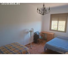 **Se Vende Finca de 19 Hectáreas de Olivos**