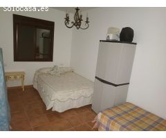 **Se Vende Finca de 19 Hectáreas de Olivos**