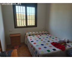 **Se Vende Finca de 19 Hectáreas de Olivos**