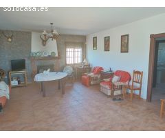 **Se Vende Finca de 19 Hectáreas de Olivos**
