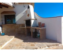 **Se Vende Finca de 19 Hectáreas de Olivos**