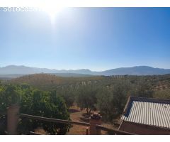 **Se Vende Finca de 19 Hectáreas de Olivos**