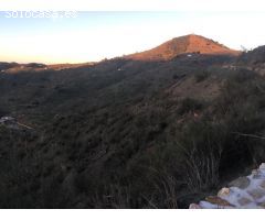 Magnifica FINCA de 79000m en Casabermeja a pie de carretera