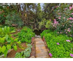 Finca Rústica en Venta en El Mocan - Los Realejos