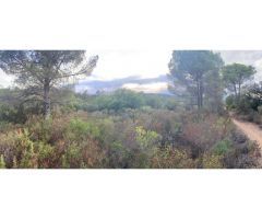 Terreno rústico en la Bisbal dEmpordà