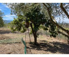 Terreno rustico en Cruilles