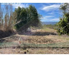 Terreno rustico en Cruilles