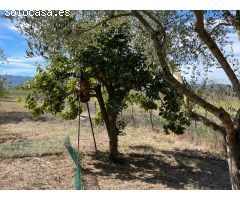 Terreno rustico en Cruilles