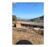 Masiá en Sant Martí Sapresa