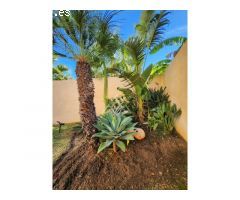 Apartamento en pleno centro de Marbella