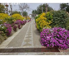 A PROP DE BLANES - GRAN CASA AMB JARDÍ I PISCINA EN PARCEL·LA PLANA DE 1.800m²