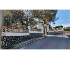 A PROP DE BLANES - GRAN CASA AMB JARDÍ I PISCINA EN PARCEL·LA PLANA DE 1.800m²