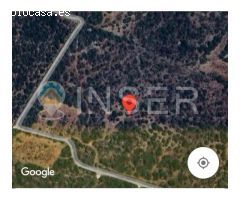 Finca Rústica Edificable con Proyecto en Son Trompa, Campos, EN EXCLUSIVA