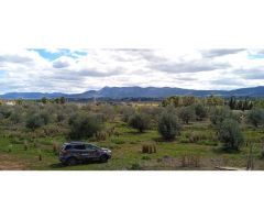 Se vende chalet en LOllería
