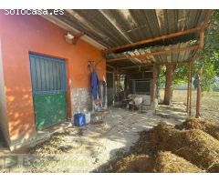 CASA CON GRAN PARCELA
