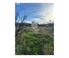VENTA DE 2 PARCELAS EN EL VALLE DEL MONTGÓ