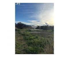 VENTA DE 2 PARCELAS EN EL VALLE DEL MONTGÓ