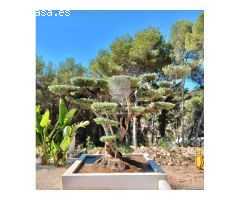 IBIZASTYLE VILLA JAVEA