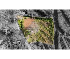 Finca con cuarto de aperos en El Sauzal
