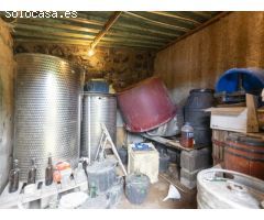 Finca con cuarto de aperos en El Sauzal