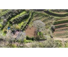 Finca con cuarto de aperos en El Sauzal