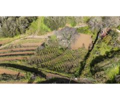Finca con cuarto de aperos en El Sauzal
