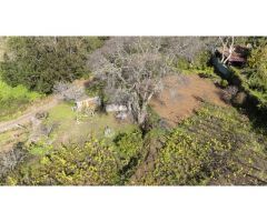 Finca con cuarto de aperos en El Sauzal