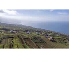 Finca con cuarto de aperos en El Sauzal