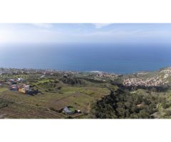 Finca con cuarto de aperos en El Sauzal