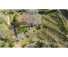 Finca con cuarto de aperos en El Sauzal