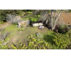 Finca con cuarto de aperos en El Sauzal