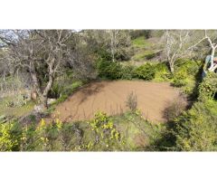 Finca con cuarto de aperos en El Sauzal