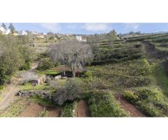 Finca con cuarto de aperos en El Sauzal