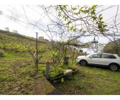 Finca con cuarto de aperos en El Sauzal