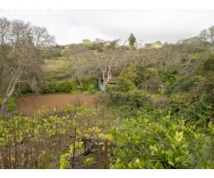Finca con cuarto de aperos en El Sauzal