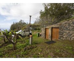 Finca con cuarto de aperos en El Sauzal