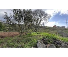Finca con cuarto de aperos en El Sauzal