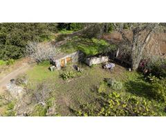 Finca con cuarto de aperos en El Sauzal