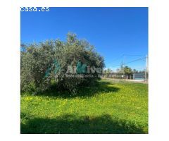 Ref A142 Terreno rustico en La alquería