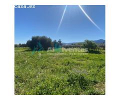 Ref A142 Terreno rustico en La alquería