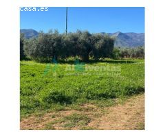 Ref A142 Terreno rustico en La alquería