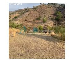 Ref A148 TERRENO RUSTICO EN CARTAMA