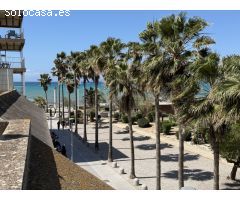 ADOSADO EN PLAYA DE PALMA