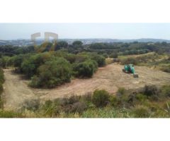 Parcela exclusiva en La Reserva de Sotogrande