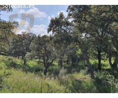 Exclusiva parcela de esquina con privacidad y encanto natural