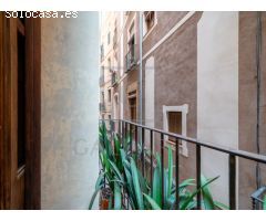Piso en Barcelona zona Ajuntament