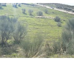 Terrenos en Los Arenales